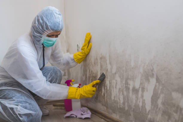 Best Residential Mold Inspection & Testing  in Pleasant Gap, PA